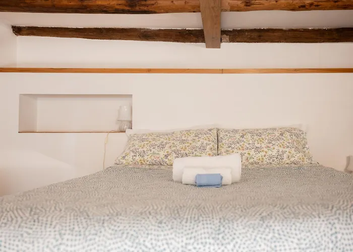 Domus Palestro Apartment *